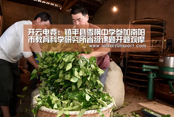 开云电竞：镇平县雪枫中学参加南阳市教育科学研究所省级课题开题观摩会